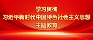 日死你视频免费送你操学习贯彻习近平新时代中国特色社会主义思想主题教育_fororder_ad-371X160(2)